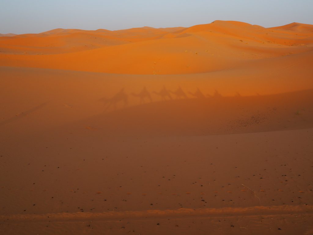 Schatten einer Karawane auf Sanddünen in der Wüste