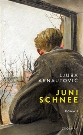 Buchcover Ljuba Arnautović